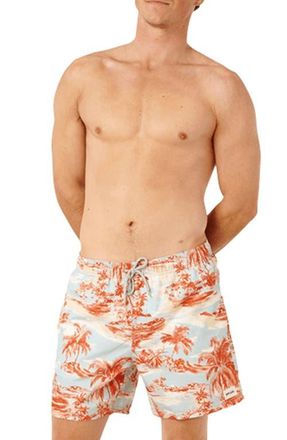 Rip Curl Dreamers 16-Inch Volley Swim Trunks in Spray Blue at Nordstrom, Size Xx-Large