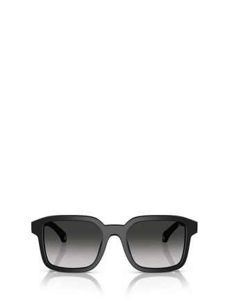 Moncler Sunglasses