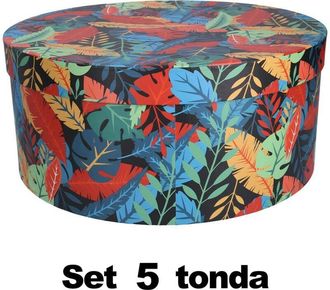 Vacchetti Vacchetti - Caja Cart&oacute;n 1-5 Plumas Multicolor Redonda Cm&oslash;40,5h17,8