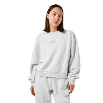 Jack Wills Dames/Dames Essentials Sweatshirt met lange mouwen (Lichte Heide)