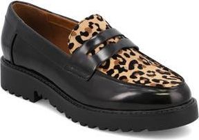 Mia Amore Hali Lug Sole Penny Loafer in Black /Jaguar at Nordstrom Rack, Size 8.5
