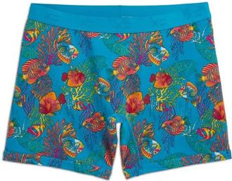 TomboyX 6-Inch No Fly Boxer Briefs in Rainbow Fish at Nordstrom, Size X-Large