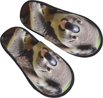 Generic Cotton Slippers Cute Koala Cotton Sliders With Mute Sole Slippers For Big Kid Adult Trip M