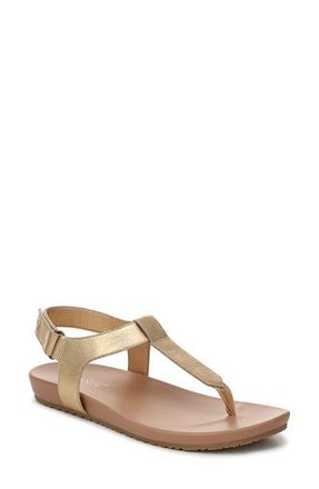 Vionic Palisades Sandal in Gold at Nordstrom, Size 9.5