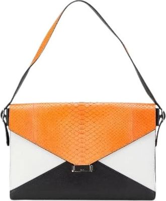 Celine Pre-owned Shoulder Bags, female, Multicolor, Size: ONE SIZE Pre-owned Multicolor Leather Python Shoulder Bag