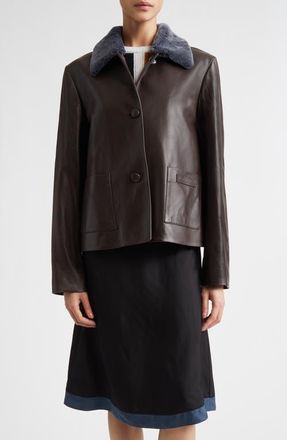 Marni Leather Jacket with Genuine Shearling Collar in Chocolate at Nordstrom, Size 4 Us