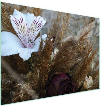 OEM Placa Protectora De Vidrio Para Estufa 70x52 Orqu&iacute;dea