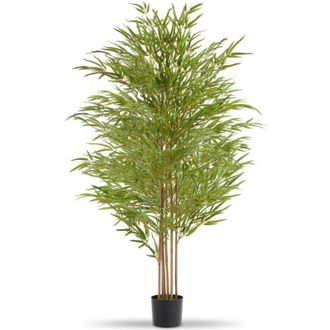 TecTake Tectake - Albero di bamb&ugrave; artificiale Bambosa, consistenza realistica - Albero di bamb&ugrave; in plastica, Bamb&ugrave; in plastica, Bamb&ugrave; artificiale - 180 cm