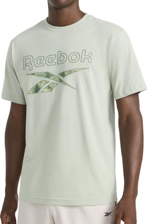 Reebok Apparel Mens Aether Outline Smoke Logo Crewneck T-Shirt, Desert Sage, Large