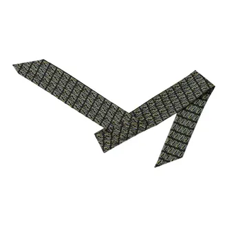 Fendi Dames, Accessoires, Veelkleurig, Maat: ONE Size Zijde