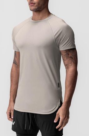 ASRV AeroSilver Established Tee in Chai at Nordstrom, Size Large
