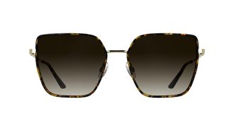 Calvin Klein Womens Sunglasses CK25111S - Havana with Gradient Brown Lens