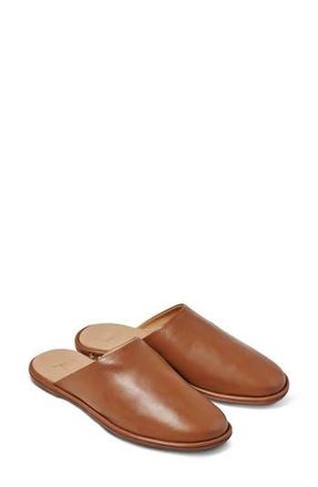 beek Seagull Mule in Tan at Nordstrom Rack, Size 8