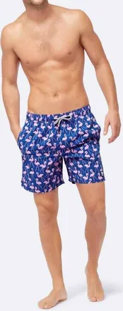 Tom & Teddy Mens Flamingo Swim Shorts In Blue