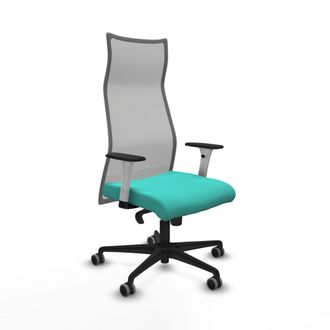 Piqueras y Crespo Silla De Oficina Albacete Piqueras Y Crespo B1b036g Turquesa