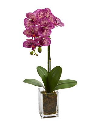 Nearly Natural Orchid Phalaenopsis Artificial Arrangement In Vase