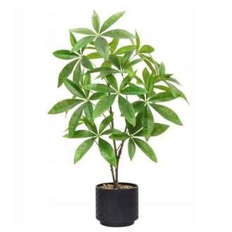 OEM Pachira Artificial En Maceta Realista 60 Cm Hermoso Arbusto