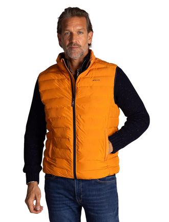 N-Z-A- NEW ZEALAND AUCKLAND Bodywarmer effen oranje New Zealand normale fit