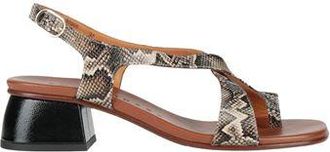 Chie Mihara FOOTWEAR - Thong sandals on YOOX.COM