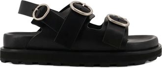 Jil Sander buckle strap sandals - Black