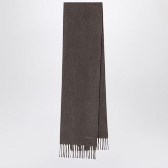 Max Mara Wool Scarf In Dove Grey