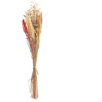 Beliani Ramo De Flores Secas Rojo Amarillo Natural Marr&oacute;n 65 Cm Envuelto Papel Pampeluna