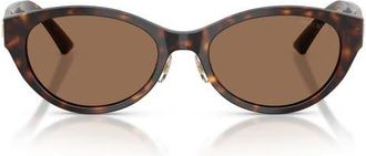 Jimmy Choo London 55mm Oval Sunglasses in Havana /Dark Brown at Nordstrom