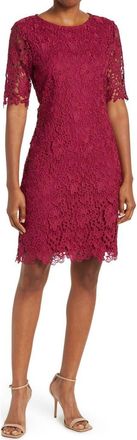 Nina Leonard Jewel Neck Lace Dress in Sangria at Nordstrom Rack, Size X-Large