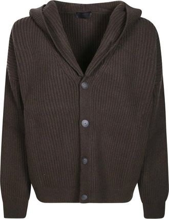 Dondup Donna, Maglie, Marrone, XS, new