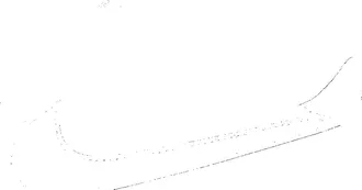 Nike Mens Air Force 1 07 Shoes in White | CT2302-100