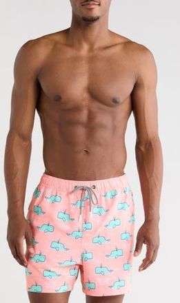 Party Pants Moby 2.0 Swim Trunks in Pink at Nordstrom Rack, Size X-Small
