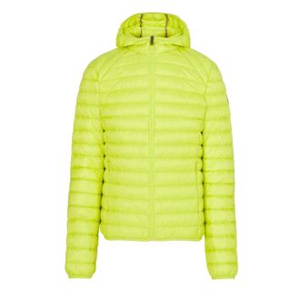 Jott Heren JOTT Nico Lichtgewicht Pufferjas in Groen