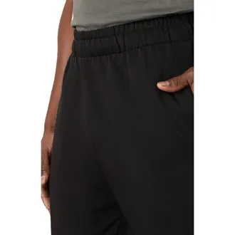 Pact Organic Brushed Fleece Sweatpant in Black at Nordstrom, Size Xx-Large