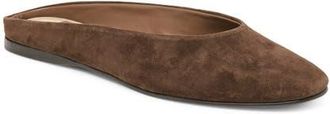 Dolce Vita Eila Mule in Dark Brown Suede at Nordstrom, Size 9.5