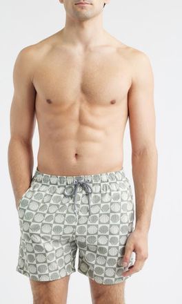 Boardies Seashell Print Swim Trunks in Olive/Cream at Nordstrom, Size Medium