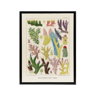 Artery8 Great Barrier Reef Corals Marine Life Kent Framed Canvas Wall Art in Beige | Size: W24 x H32