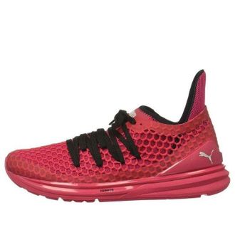 Puma (WMNS) PUMA Ignite Limitless Love Potion 189984-03