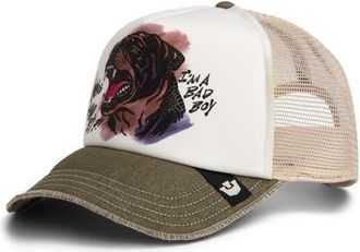 Goorin Brothers Bad Boy Disruption Snapback Trucker Hat in Biscuit at Nordstrom
