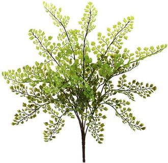 Nearly Natural 15-in Maiden Hair Artificial Plant in Green at Nordstrom
