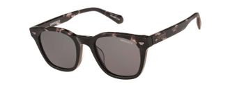Superdry Sonnenbrille SUPERDRY Modell 996100, Herren, grau havanna, gemustert, leicht durchscheinend, matt, Sonnenbrillen Sonnenbrille, Form Karree/Eckig, Logo