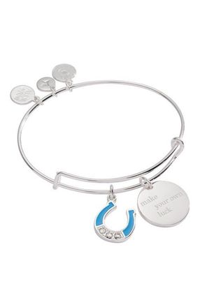 Alex and Ani Make Your Own Luck Duo Charm Bangle Bracelet in Silver at Nordstrom