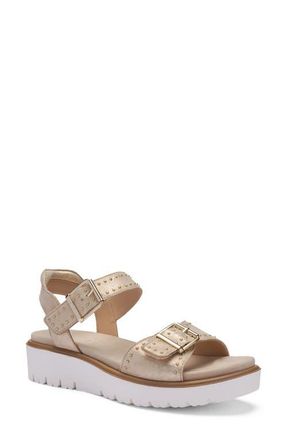 Ara Buttercup Studded Sandal (Women0 in Shell at Nordstrom, Size 9.5-10Us