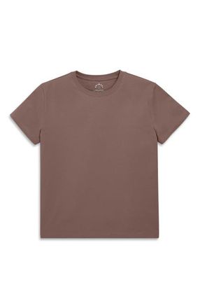 primary Adult Easy Crewneck Tee in Acorn at Nordstrom, Size X-Small