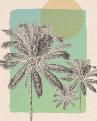 Komar Bild »Manhã Quente« Natur 1 Stk. tlg. Wandbild zur Dekoration - ohne Rahmen