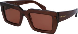 Ferragamo Brown Acetate Womens Sunglasses