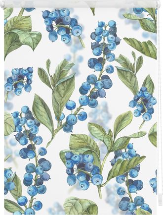 Lichtblick Original Seitenzugrollo »Klemmfix Motiv Heidelbeere« Lichtschutz ohne Bohren freihängend bedruckt