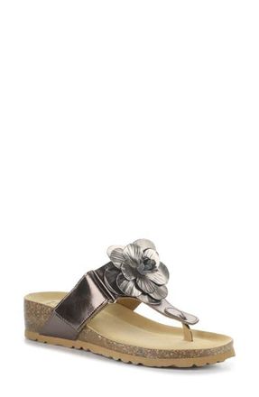 Bos. & Co. Laria Platform Wedge Flip Flop in Pewter at Nordstrom, Size 10-10.5Us