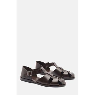 Scarosso Apollo Sandals in Brown - Calf at Nordstrom, Size 40.5