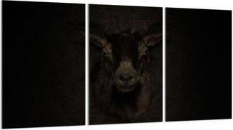 OEM Placa Protectora De Vidrio Para Estufa 3x30x52