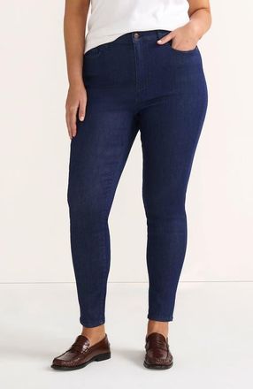 Lands End High Rise Adaptive Lycra Skinny Jeans in River Rinse at Nordstrom, Size 20W